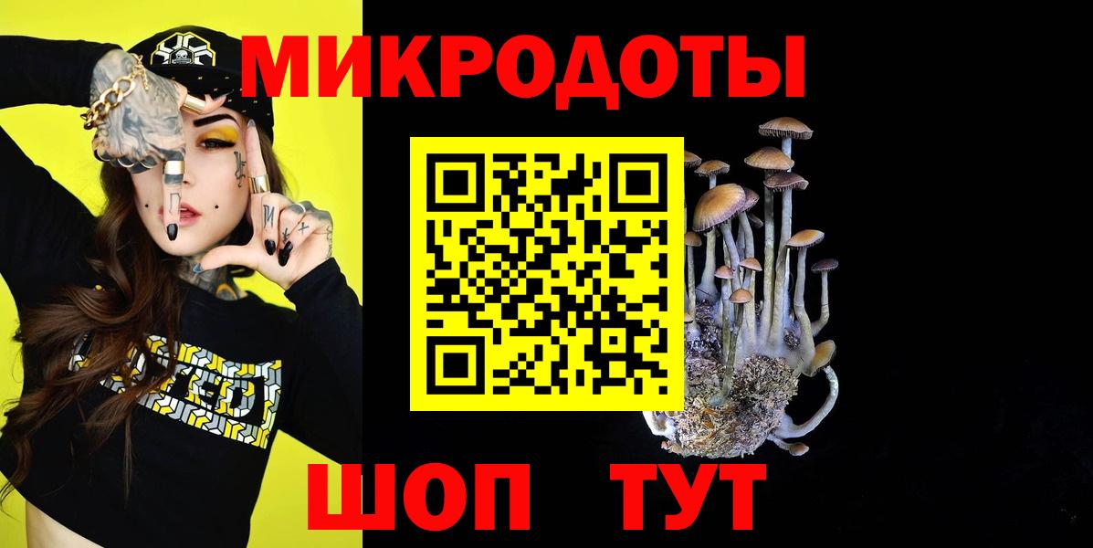 Псилоцибиновые грибы GOLDEN TEACHER Северобайкальск